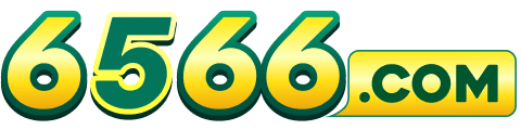 6566